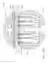 Fig. 136 - Tissue thickness compensator comprising resilient members