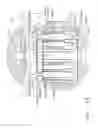 Fig. 75 - Tissue thickness compensator comprising resilient members