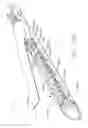 Fig. 80 - Tissue thickness compensator comprising resilient members