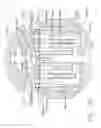 Fig. 87 - Tissue thickness compensator comprising resilient members