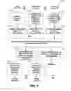 Fig. 06 - Single antenna, multi-band frequency division multiplexed mobile communication