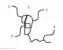 Fig. 01 - EARPHONE WITH A SUPPORT ELEMENT