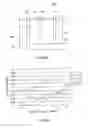 Fig. 04 - Pattern inspection apparatus and pattern inspection method