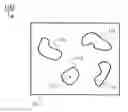 Fig. 01 - Dynamic radial contour extraction by splitting homogeneous areas