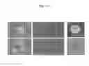 Fig. 09 - SSEA3(+) pluripotent stem cell that can be isolated from body tissue