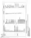 Fig. 49 - SSEA3(+) pluripotent stem cell that can be isolated from body tissue
