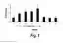 Fig. 02 - TREATMENT OF DEMYELINATING DISORDERS WITH SOLUBLE LYMPHOTOXIN-BETA-RECEPTOR