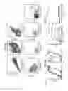 Fig. 03 - NEUTRALIZING ANTIBODIES TO HIV-1 AND THEIR USE