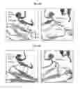 Fig. 26 - NEUTRALIZING ANTIBODIES TO HIV-1 AND THEIR USE