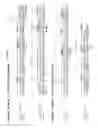 Fig. 45 - NEUTRALIZING ANTIBODIES TO HIV-1 AND THEIR USE