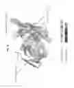 Fig. 47 - NEUTRALIZING ANTIBODIES TO HIV-1 AND THEIR USE