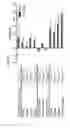 Fig. 64 - NEUTRALIZING ANTIBODIES TO HIV-1 AND THEIR USE
