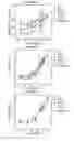 Fig. 69 - NEUTRALIZING ANTIBODIES TO HIV-1 AND THEIR USE