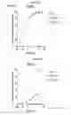 Fig. 90 - NEUTRALIZING ANTIBODIES TO HIV-1 AND THEIR USE