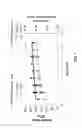 Fig. 02 - Black bear parathyroid hormone and methods of using black bear parathyroid hormone