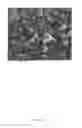 Fig. 06 - CVD coated polycrystalline c-BN cutting tools