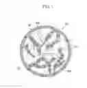 Fig. 02 - Negative electrode for rechargeable lithium battery, method of preparing same and rechargeable lithium battery including same