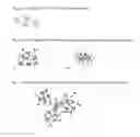 Fig. 02 - Modified method of agglutination to detect infections caused by microorganisms