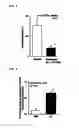 Fig. 07 - BIOMARKER OF ALLERGIC DISEASE AND USE OF THE SAME