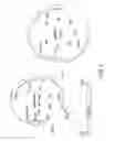Fig. 04 - Engineering microorganisms