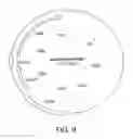 Fig. 08 - Engineering microorganisms
