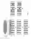Fig. 02 - GENE EXPRESSION ANALYSIS METHOD USING TWO DIMENSIONAL cDNA LIBRARY