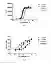 Fig. 03 - Derivatives of CGRP