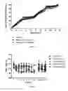 Fig. 05 - Derivatives of CGRP