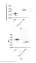 Fig. 06 - Derivatives of CGRP