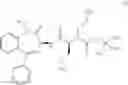 Fig. 41 - Bisfluoroalkyl-1,4-benzodiazepinone compounds