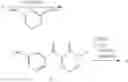 Fig. 197 - GAMMA SECRETASE MODULATORS