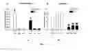 Fig. 05 - Methods of Treating Cognitive Dysfunction by Modulating Brain Energy Metabolism