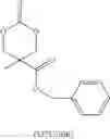 Fig. 41 - Surface modified nanoparticles, methods of their preparation, and uses thereof for gene and drug delivery