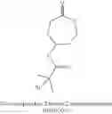 Fig. 60 - Surface modified nanoparticles, methods of their preparation, and uses thereof for gene and drug delivery