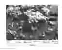 Fig. 02 - Fast dissolving polyimide powders