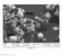Fig. 06 - Fast dissolving polyimide powders