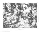Fig. 08 - Fast dissolving polyimide powders