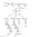 Fig. 02 - Methods of making and using surfactant polymers