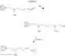 Fig. 02 - Activated solid support and method