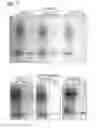 Fig. 04 - Modified biotin-binding protein