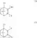 Fig. 13 - Arylated camphenes, processes for their preparation and uses thereof