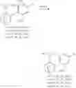Fig. 23 - Arylated camphenes, processes for their preparation and uses thereof