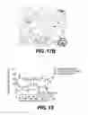 Fig. 20 - Methods and devices for cellular transplantation