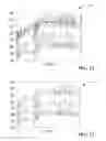 Fig. 10 - Querying compressed time-series signals