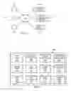 Fig. 02 - Sponsored-stories-unit creation from organic activity stream