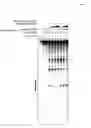 Fig. 05 - RNA-INTERFERENCE BY SINGLE-STRANDED RNA MOLECULES