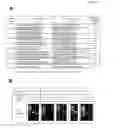 Fig. 27 - RNA-INTERFERENCE BY SINGLE-STRANDED RNA MOLECULES