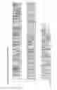 Fig. 03 - Optimized endonucleases and uses thereof