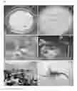 Fig. 03 - Compositions and methods for controlling parasitic nematodes