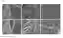 Fig. 04 - Compositions and methods for controlling parasitic nematodes
